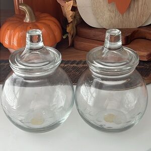 Princess House set of two storage containers